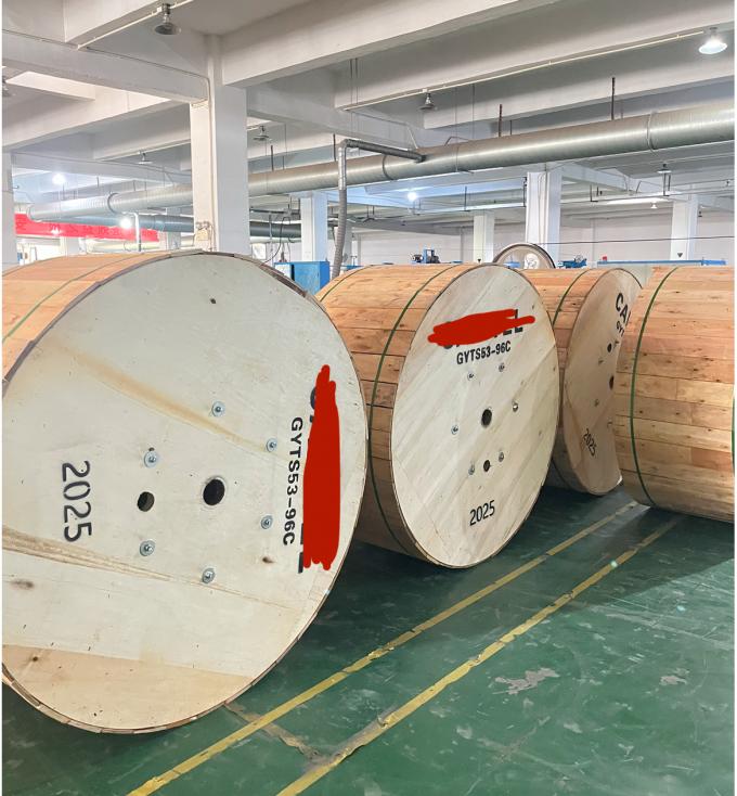 কারখানার স্টক আউটডোর ডাবল বর্মযুক্ত GYTS53-96 কোর ফাইবার অপটিক ক্যাবল ডাবল জ্যাকেট G652D একই দিন পাঠানো 10