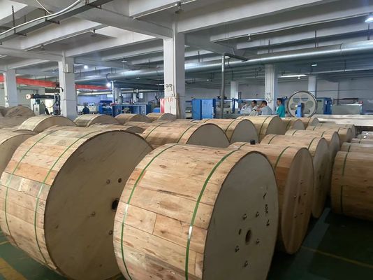 আউটডোর ফাইবার অপটিক্যাল ক্যাবল এডিএসএস ক্যাবল ২৪ কোর ৪৮ কোর