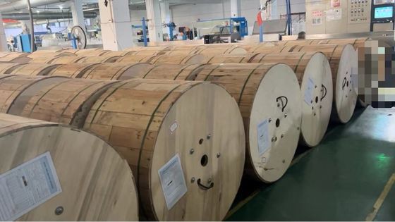 স্ট্র্যান্ডড লস টিউব 12 24 কোর ভূগর্ভস্থ ফাইবার অপটিক ক্যাবল