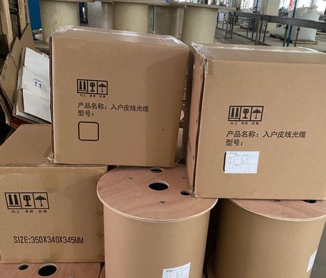 1.0 মিমি স্টিল তারের জি 657 এ জি 652 ডি 1 2 4 কোর ড্রপ কেবল