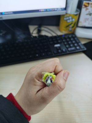 অ ধাতব একক জ্যাকেট ADSS ফাইবার অপটিক কেবল 6/12/24/48/96 কোর 100/200 মি স্প্যান G652D